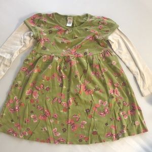 Gymboree Dress Butterflies Green Floral FLAW